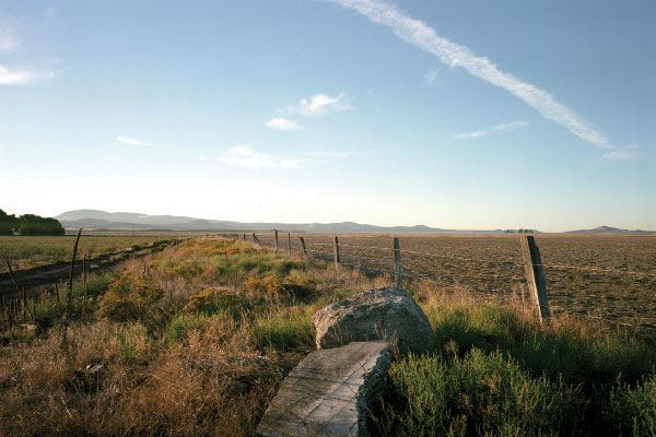 Fence Line. Photo by Todd Stewart