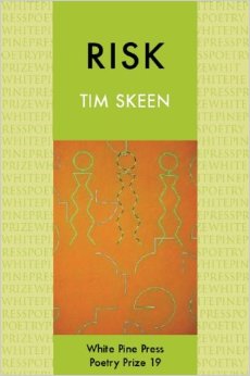 Risk by Tim Skeen