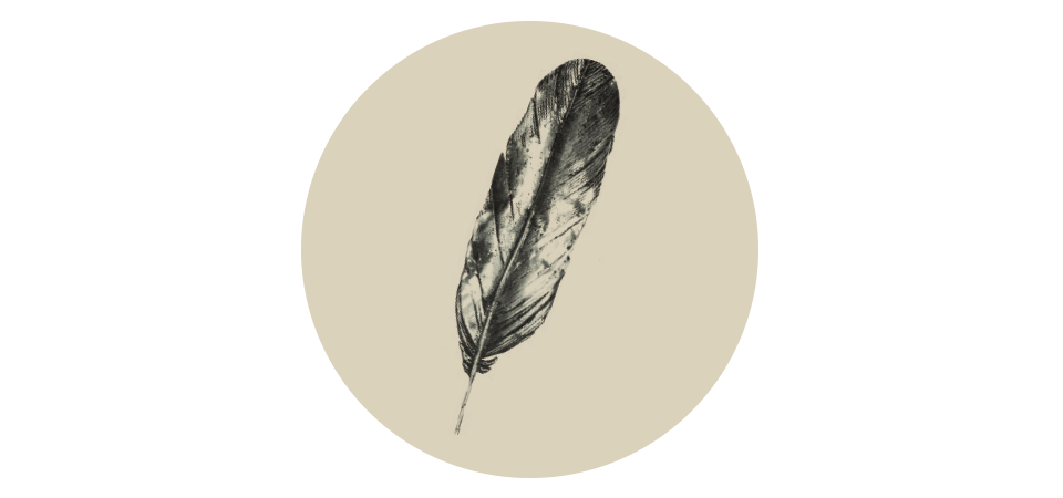 Neustadt Feather