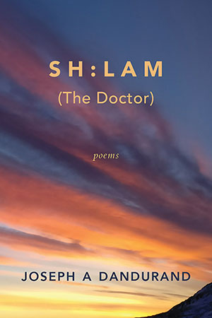 The cover to SH:LAM (The Doctor) by Joseph A. Dandurand