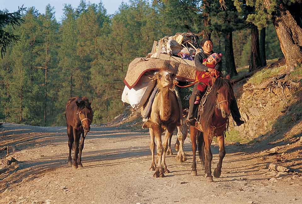 A nomadic woman carries a sleeping child, while riding a horse who, along with a tethered camel, are loaded down with packages. A pony trails behind, led by a rope.