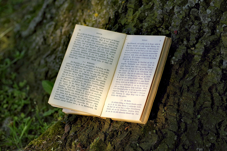 Book under a tree