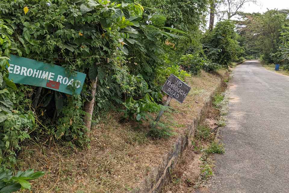 A photograph of the overgrown entrance to the veranda