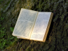 Book under a tree