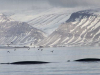 Two dark masses rise from the waters off of a glacier