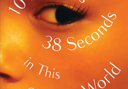 The cover to 10 Minutes 38 Seconds in This Strange World by Elif Shafak