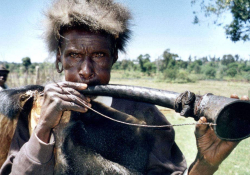 A photograph of an indigenous man blowing into a crude horn